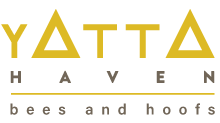logo main