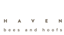 logo main